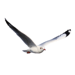 Fly into Unwind Holidays!